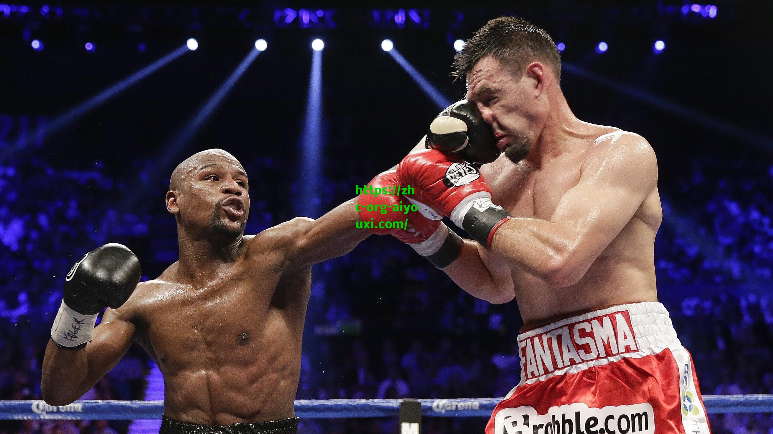 樊振东社媒晒抵达欧冠决赛现场照 跨界互动引爆体育圈